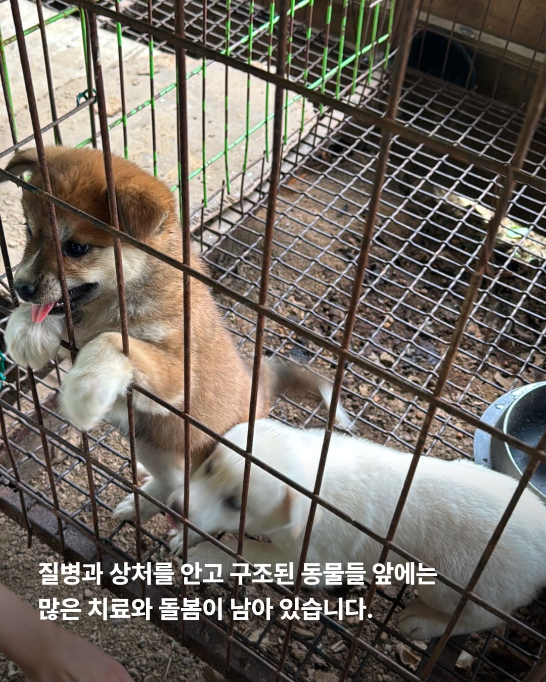 상세 사진 6