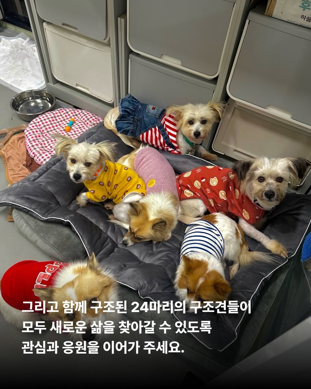 상세 사진 10