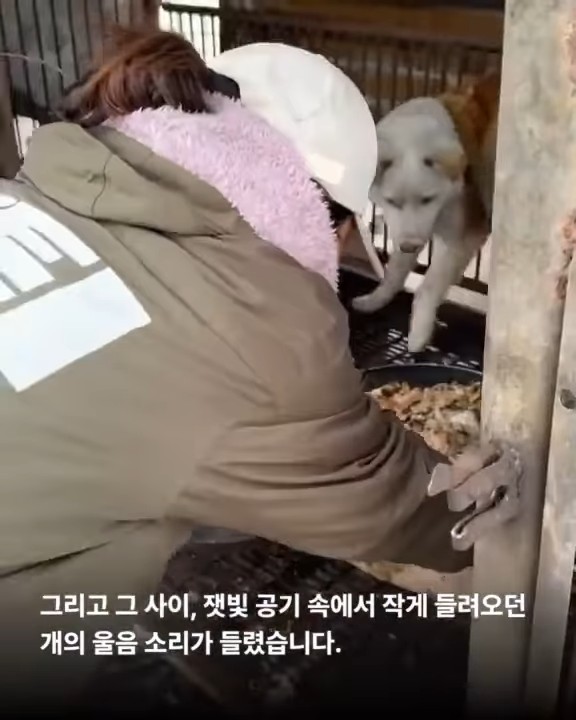 상세 사진 4