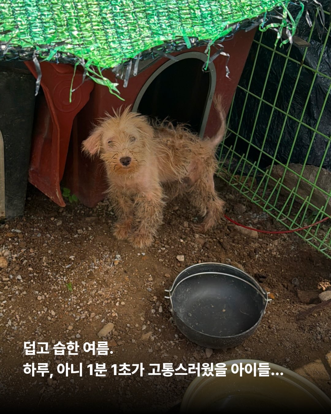 상세 사진 7