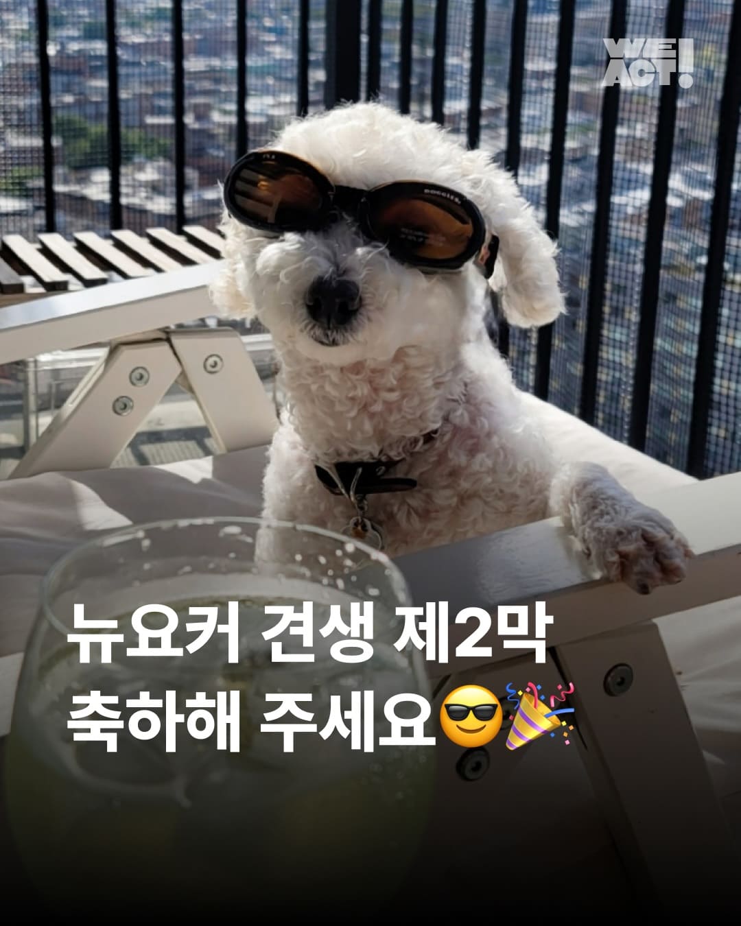 상세 사진 1