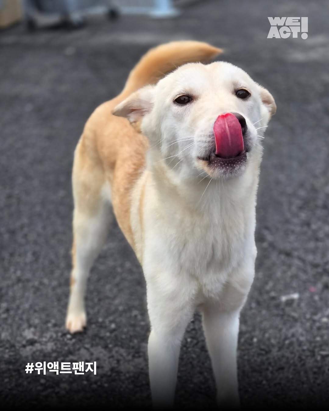 상세 사진 16