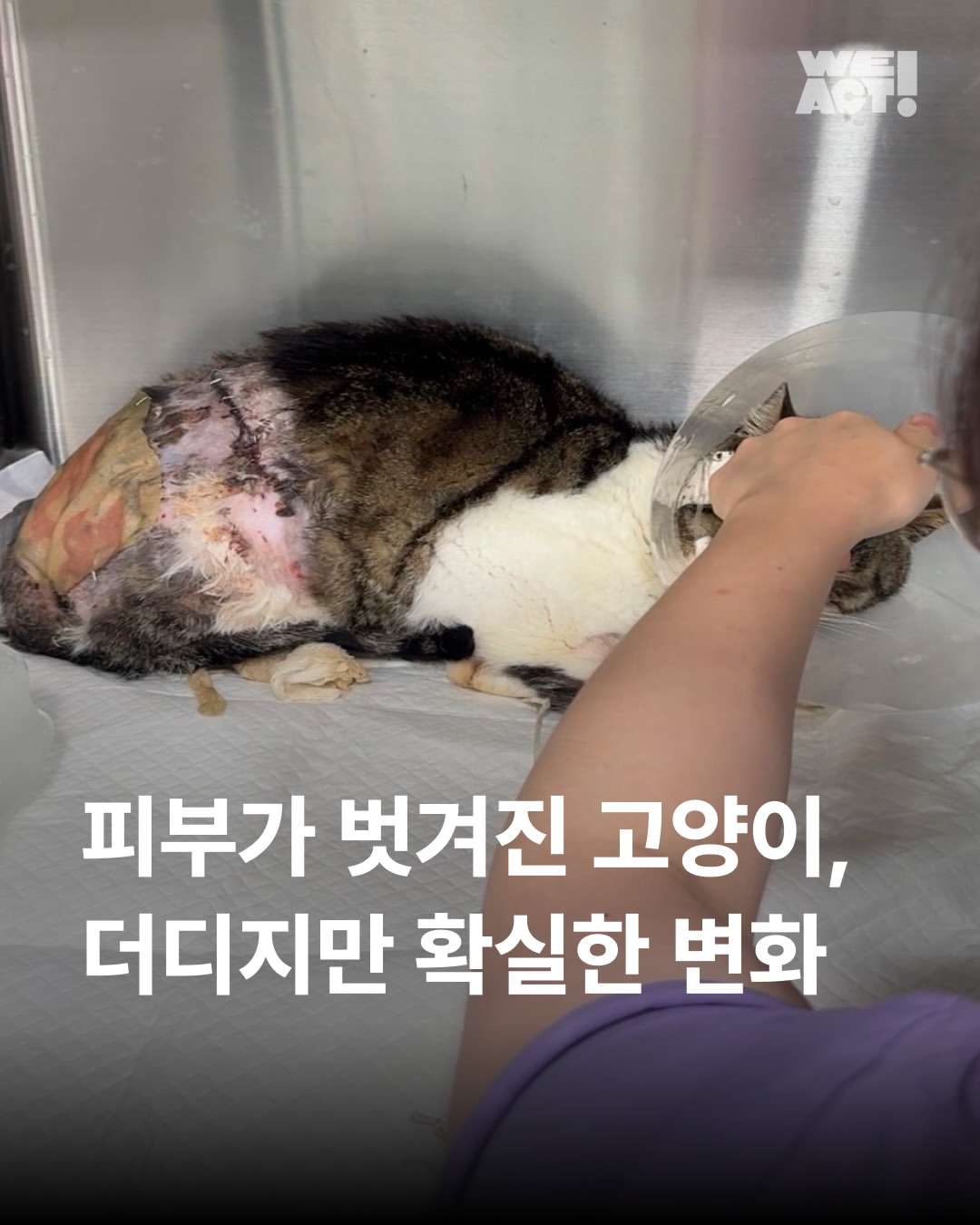 상세 사진 1
