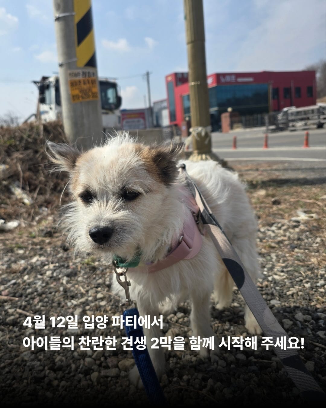 상세 사진 7