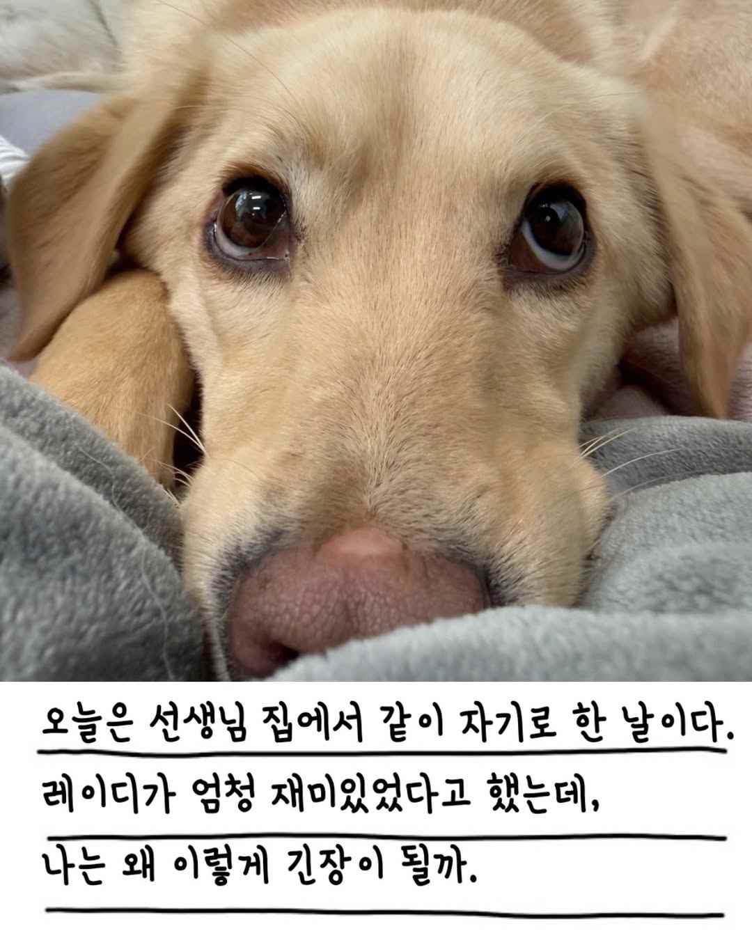 상세 사진 2