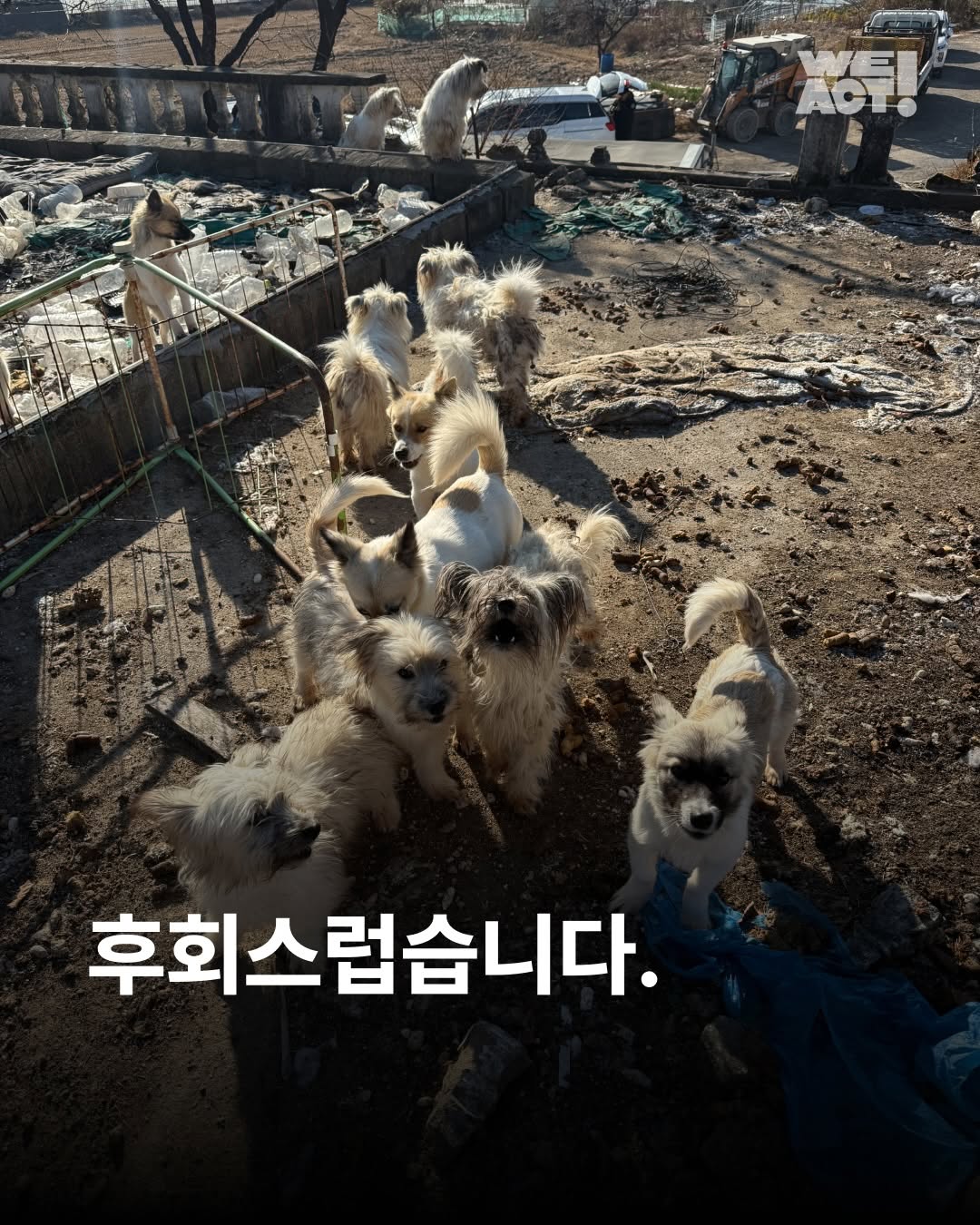 상세 사진 1