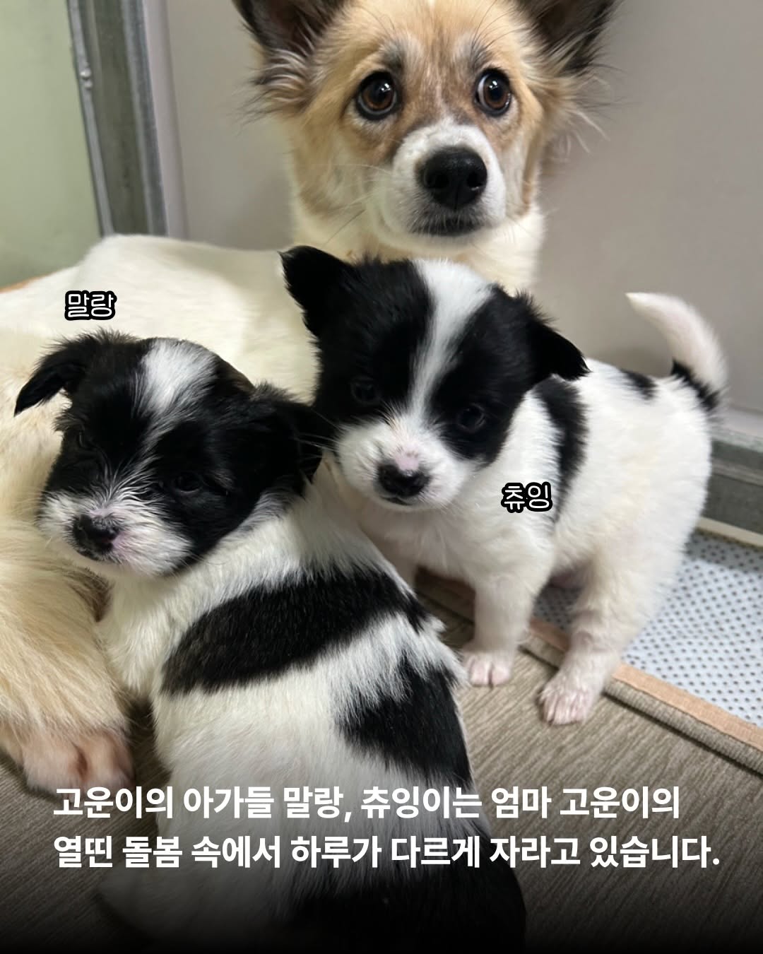 상세 사진 7