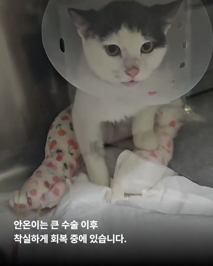 상세 사진 3