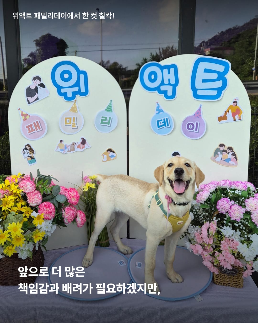 상세 사진 13
