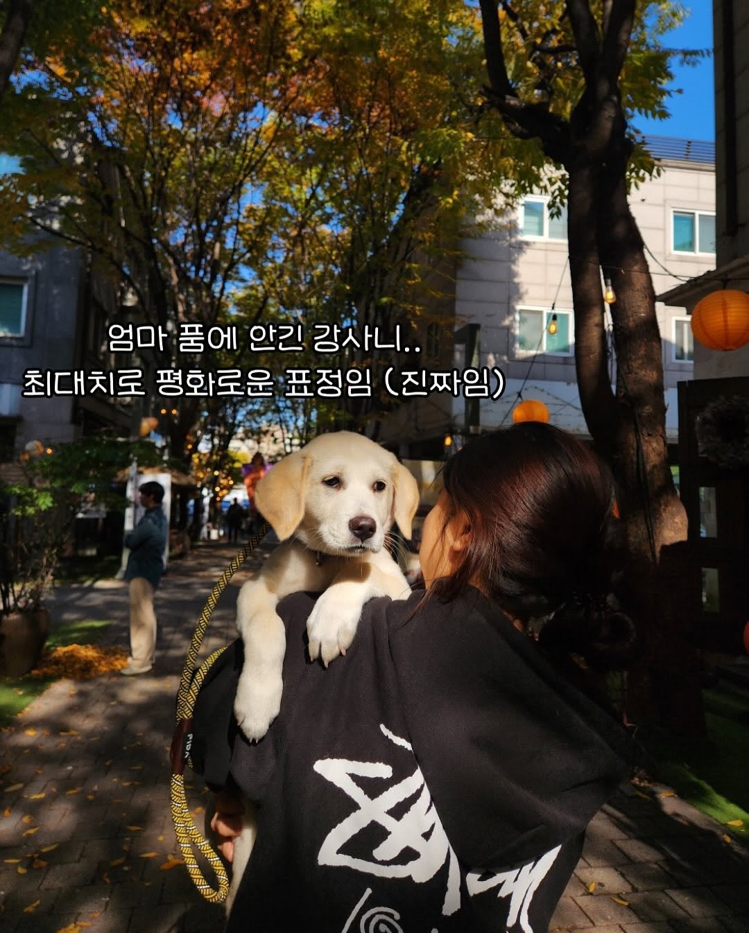 상세 사진 9
