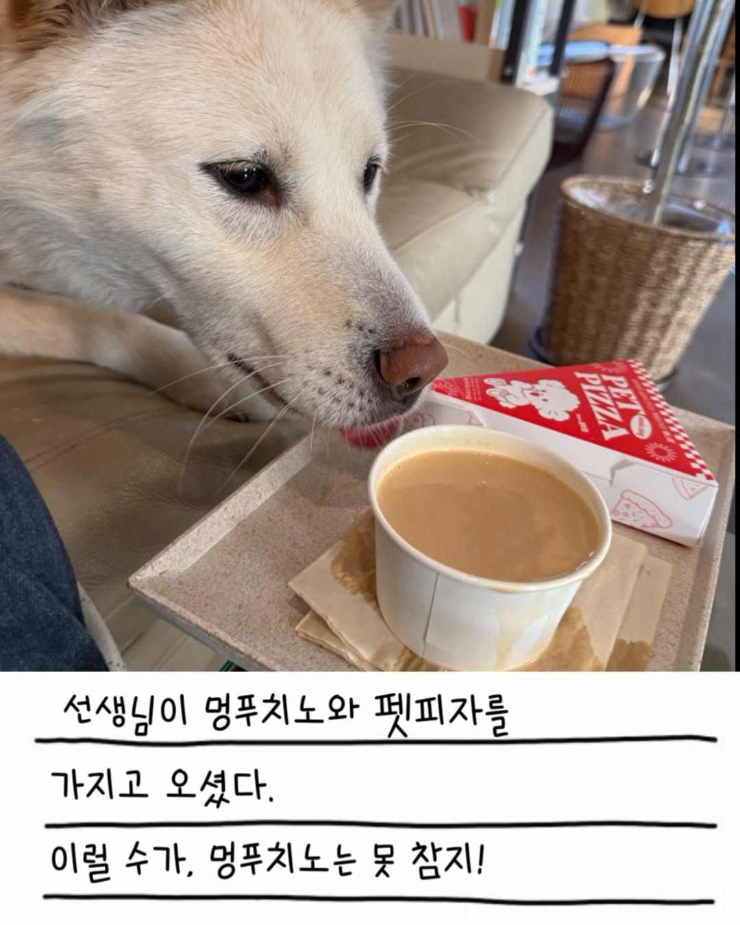 상세 사진 12