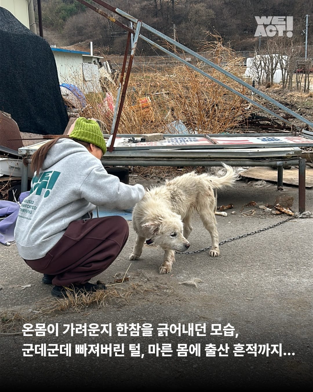 상세 사진 3