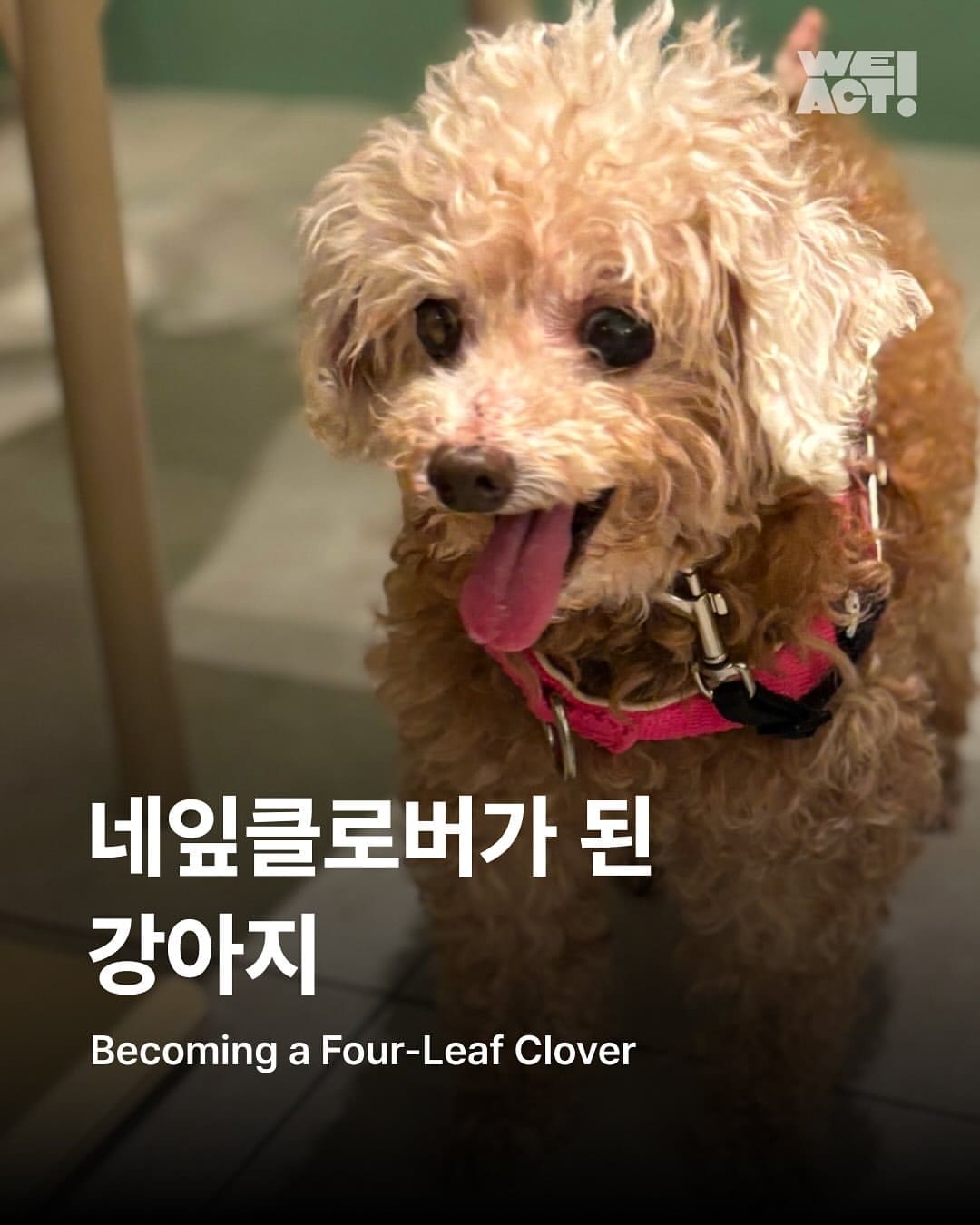 상세 사진 1