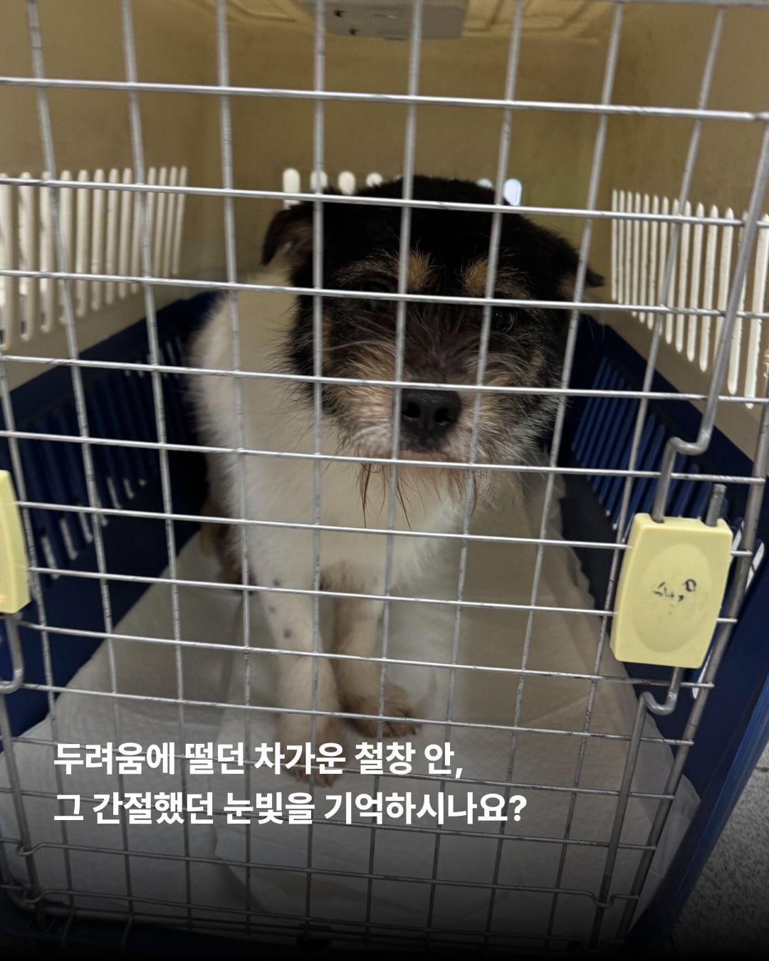 상세 사진 2