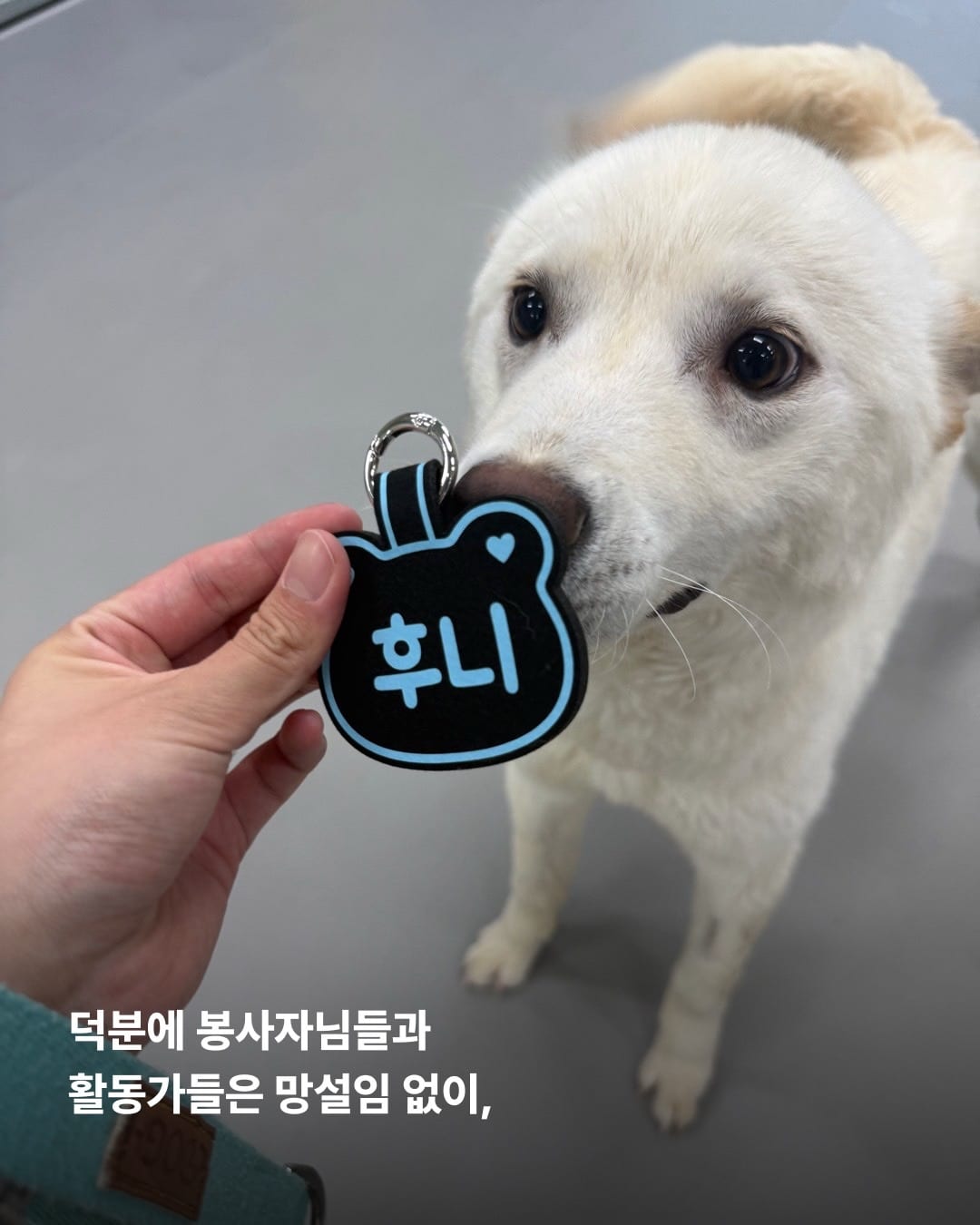 상세 사진 7