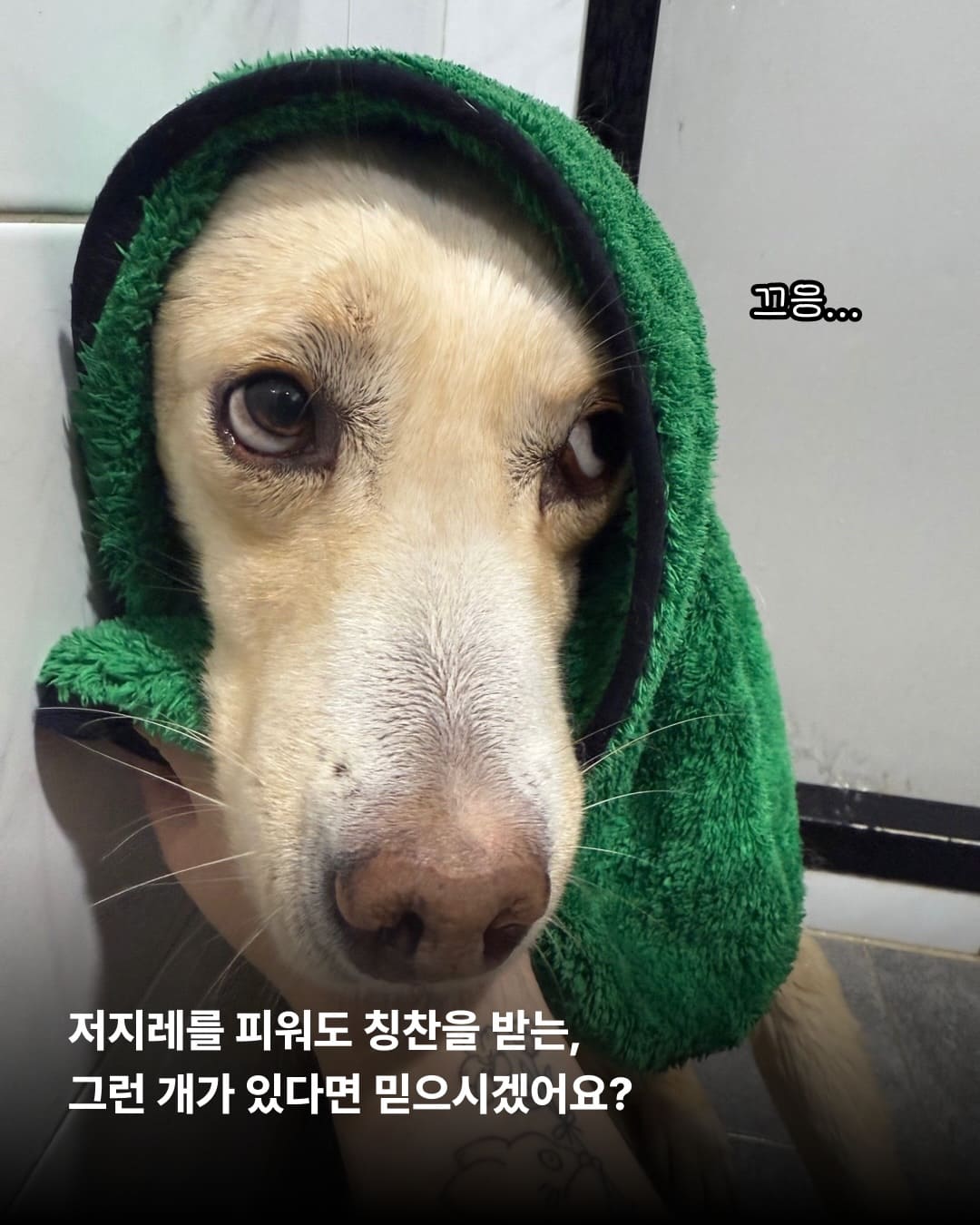 상세 사진 2