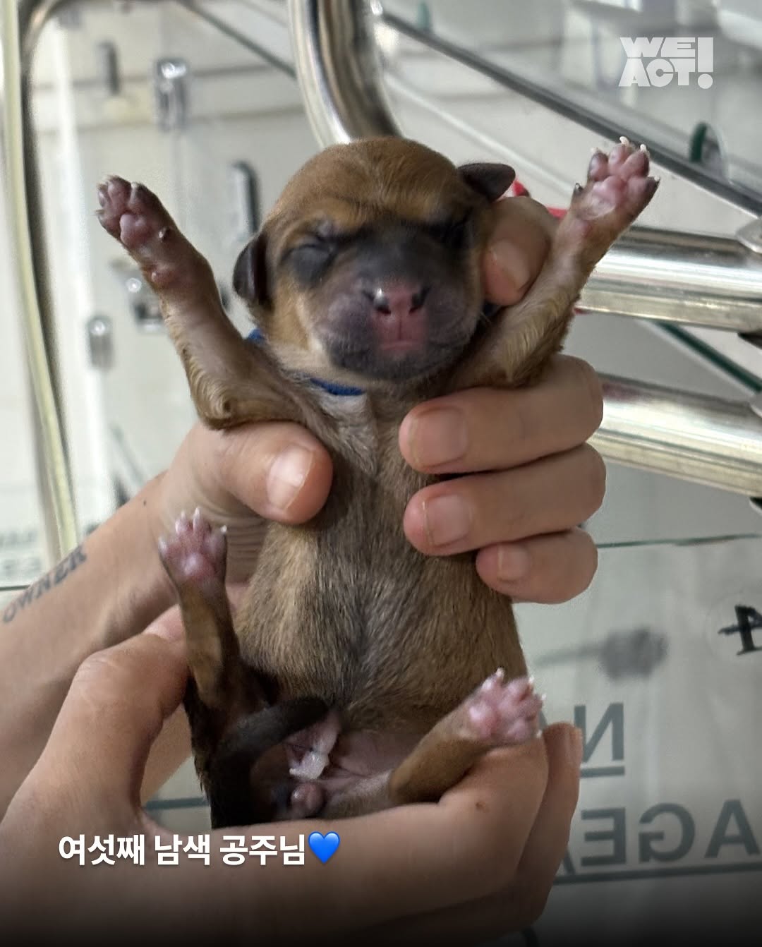 상세 사진 6