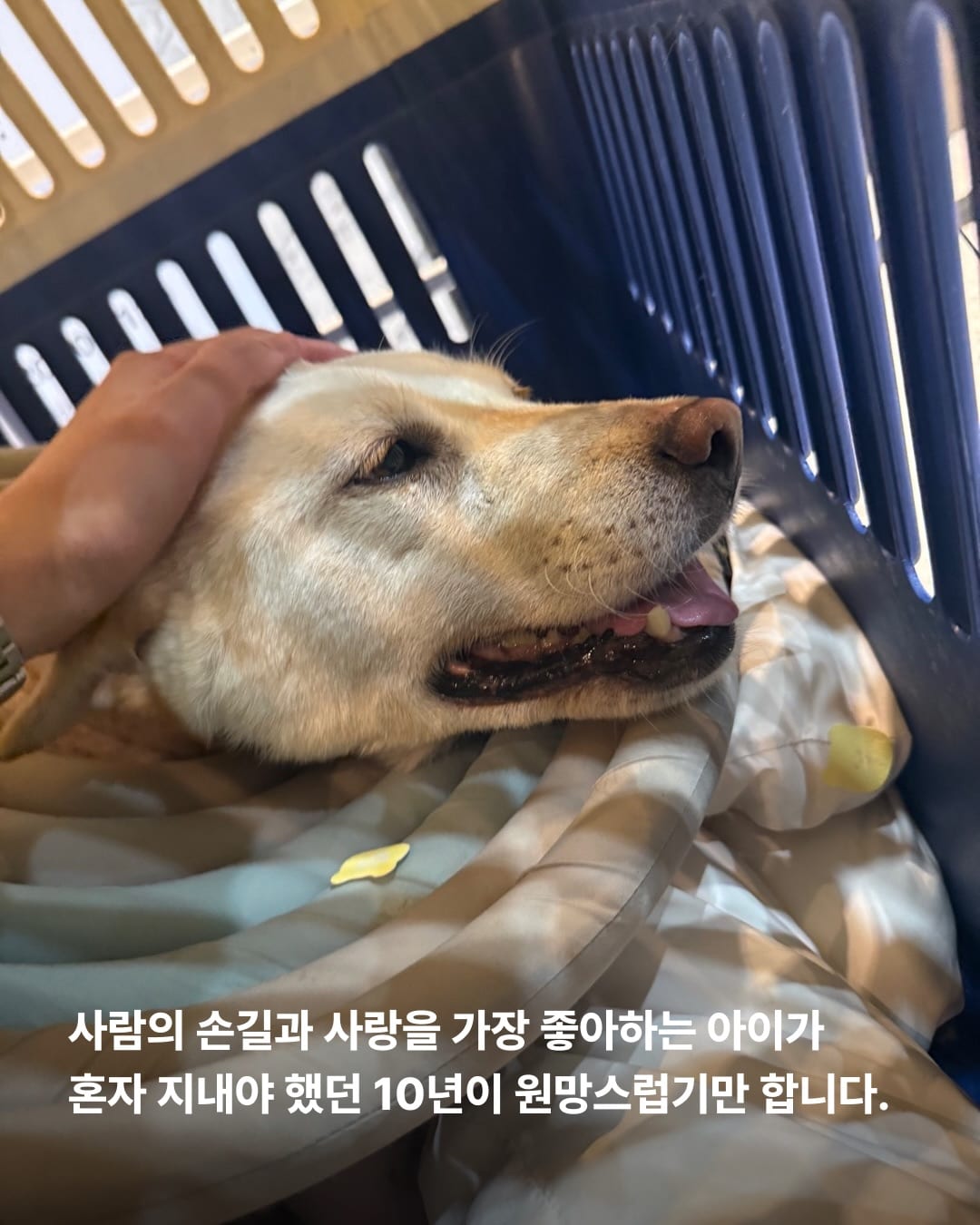 상세 사진 5