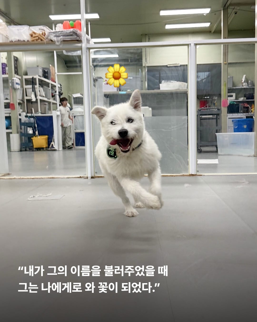 상세 사진 10