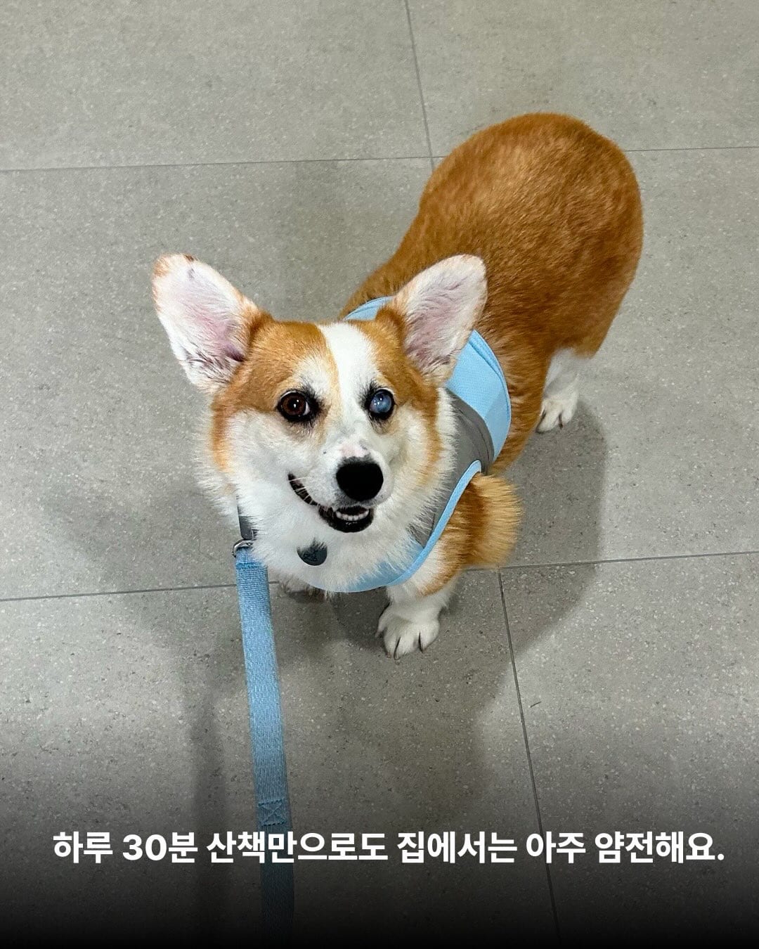 상세 사진 7