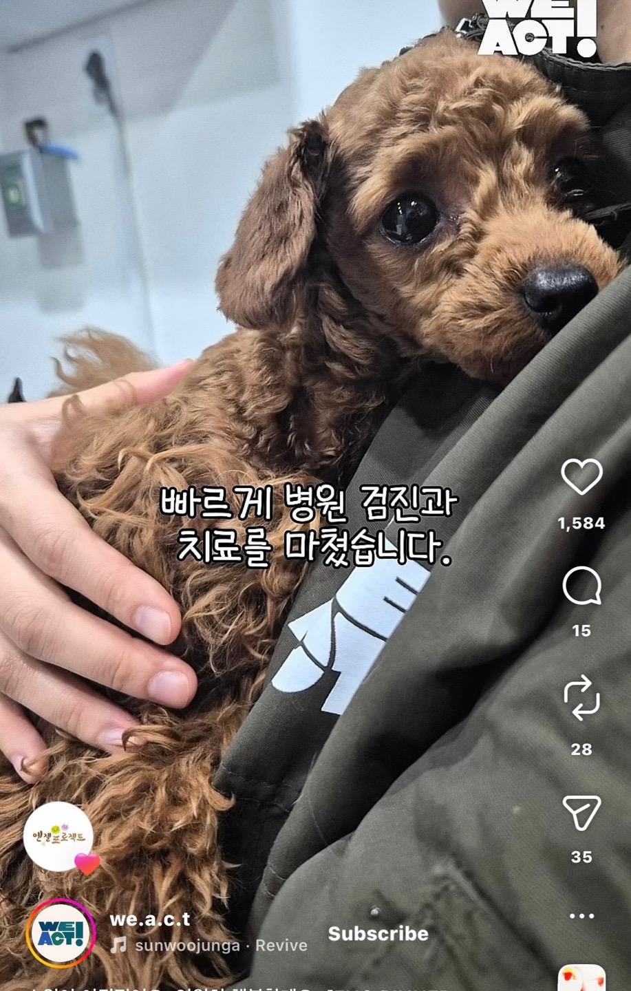 상세 사진 9