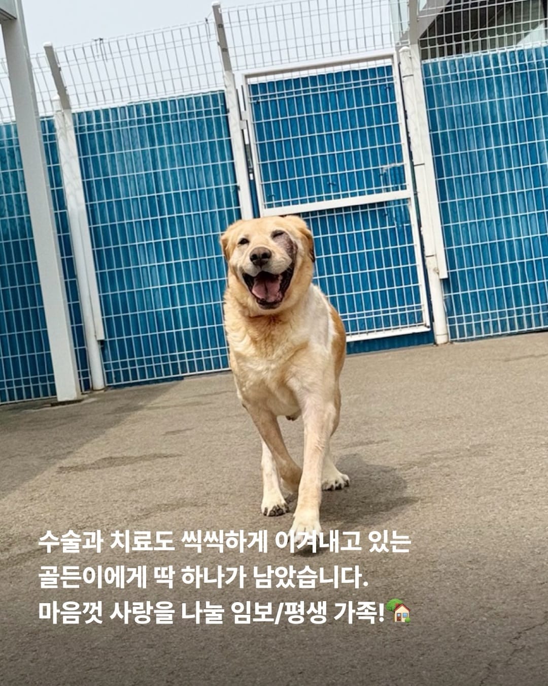 상세 사진 7