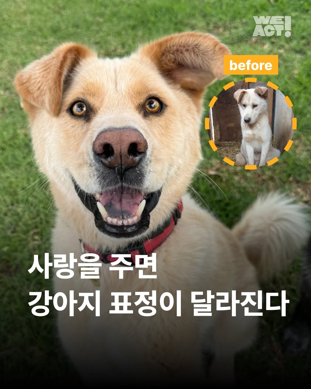 상세 사진 1