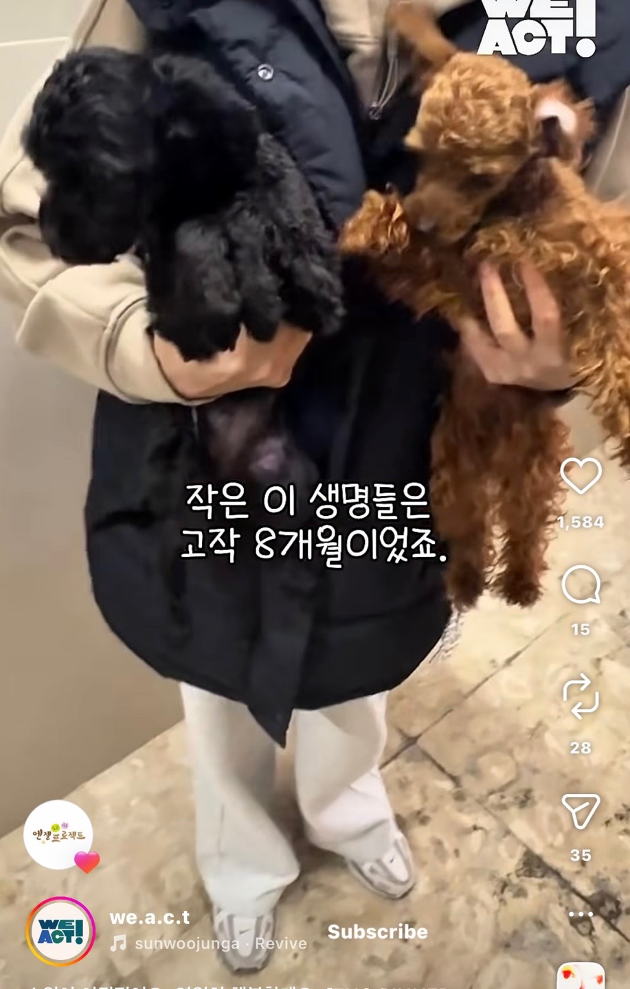 상세 사진 7