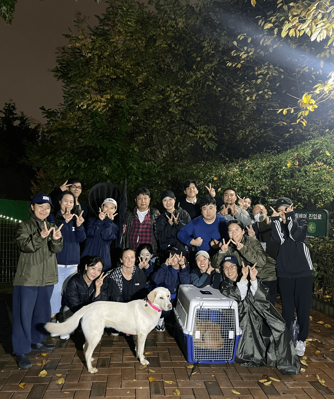 상세 사진 11
