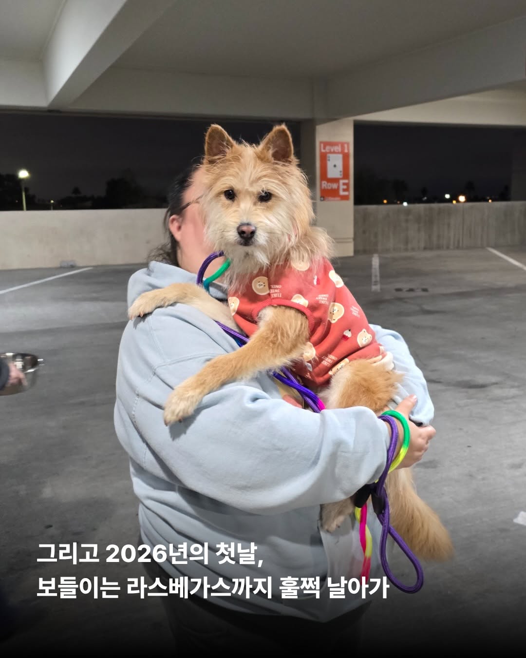 상세 사진 9