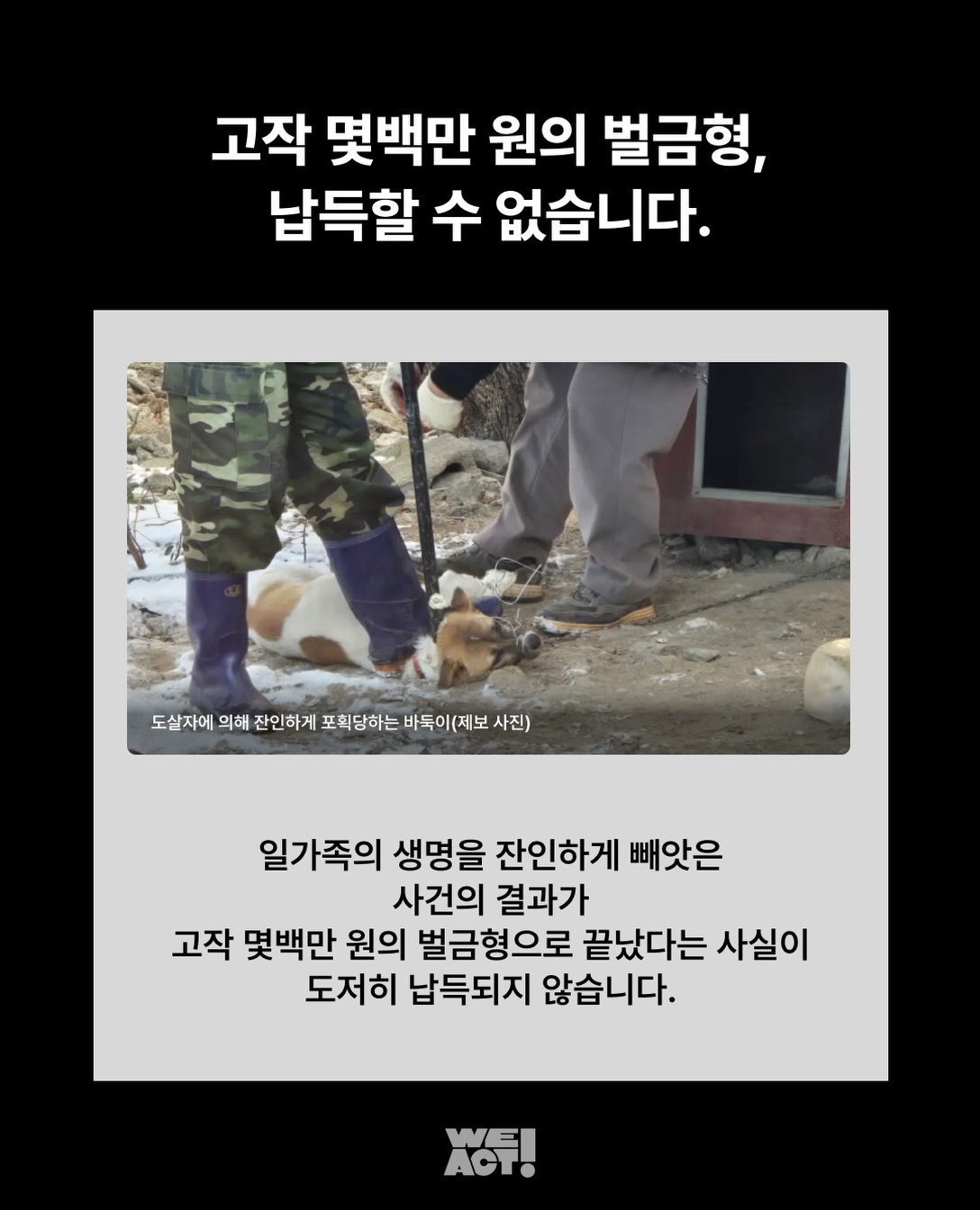 상세 사진 3