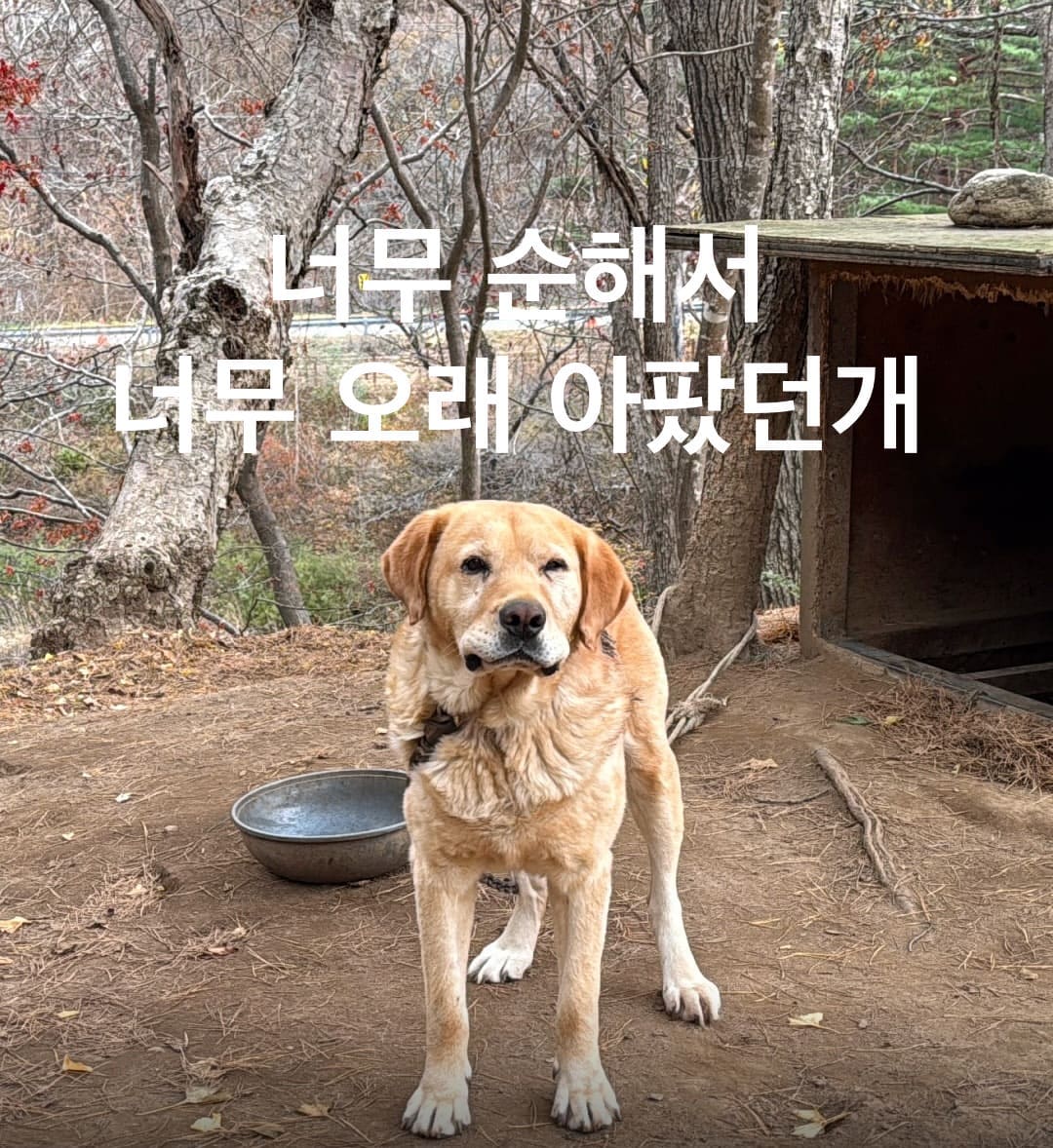 상세 사진 1