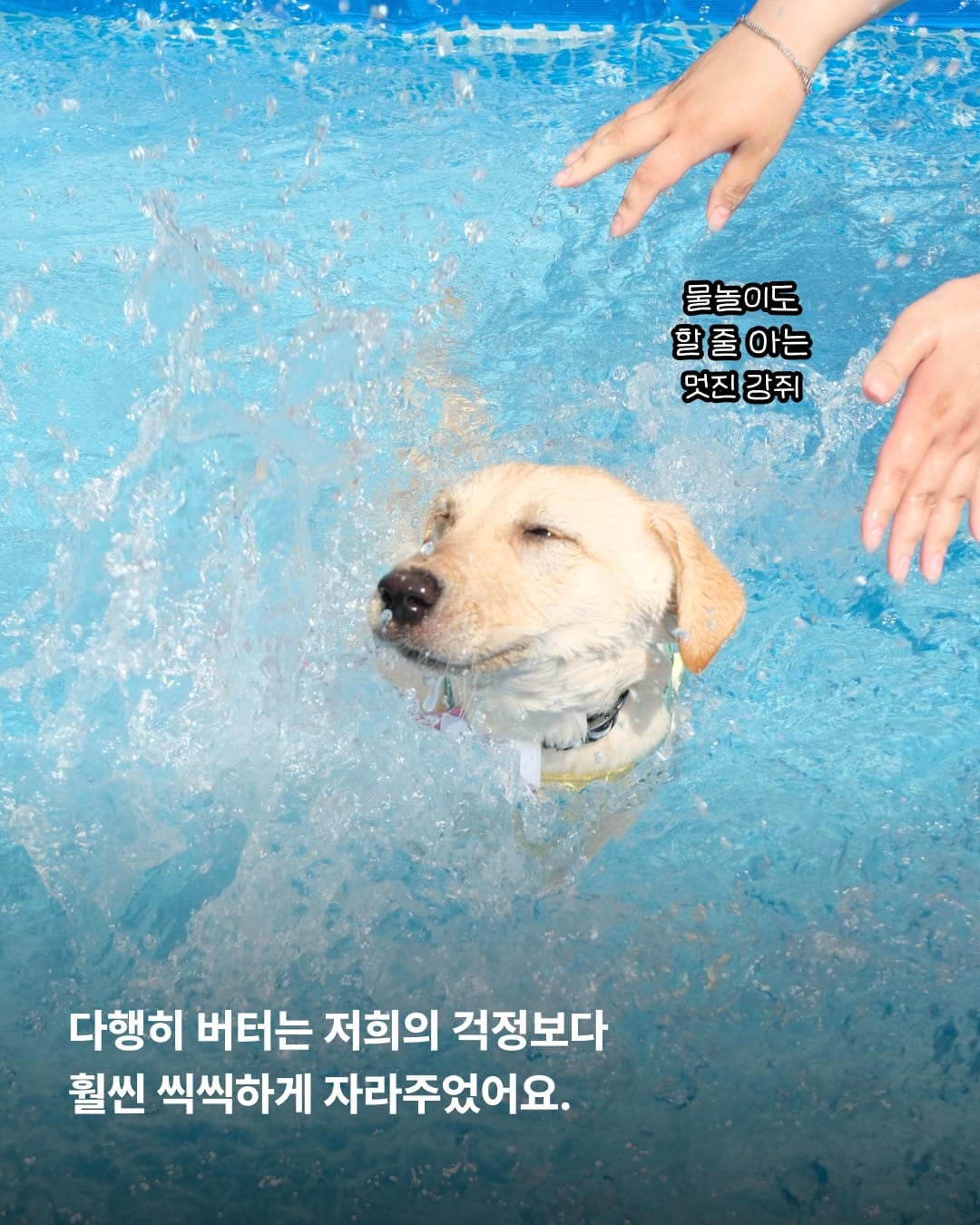 상세 사진 10