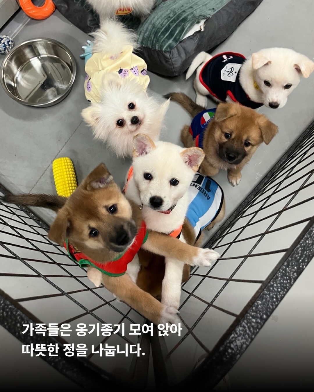 상세 사진 3