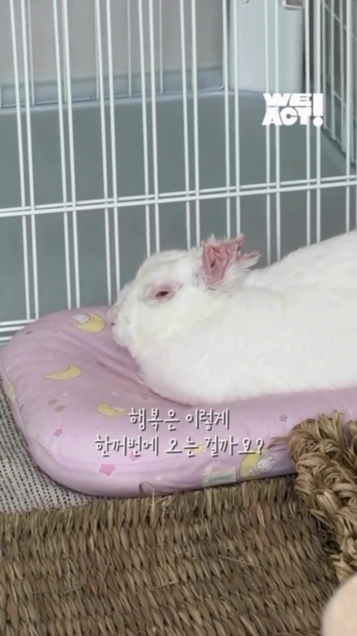 상세 사진 4