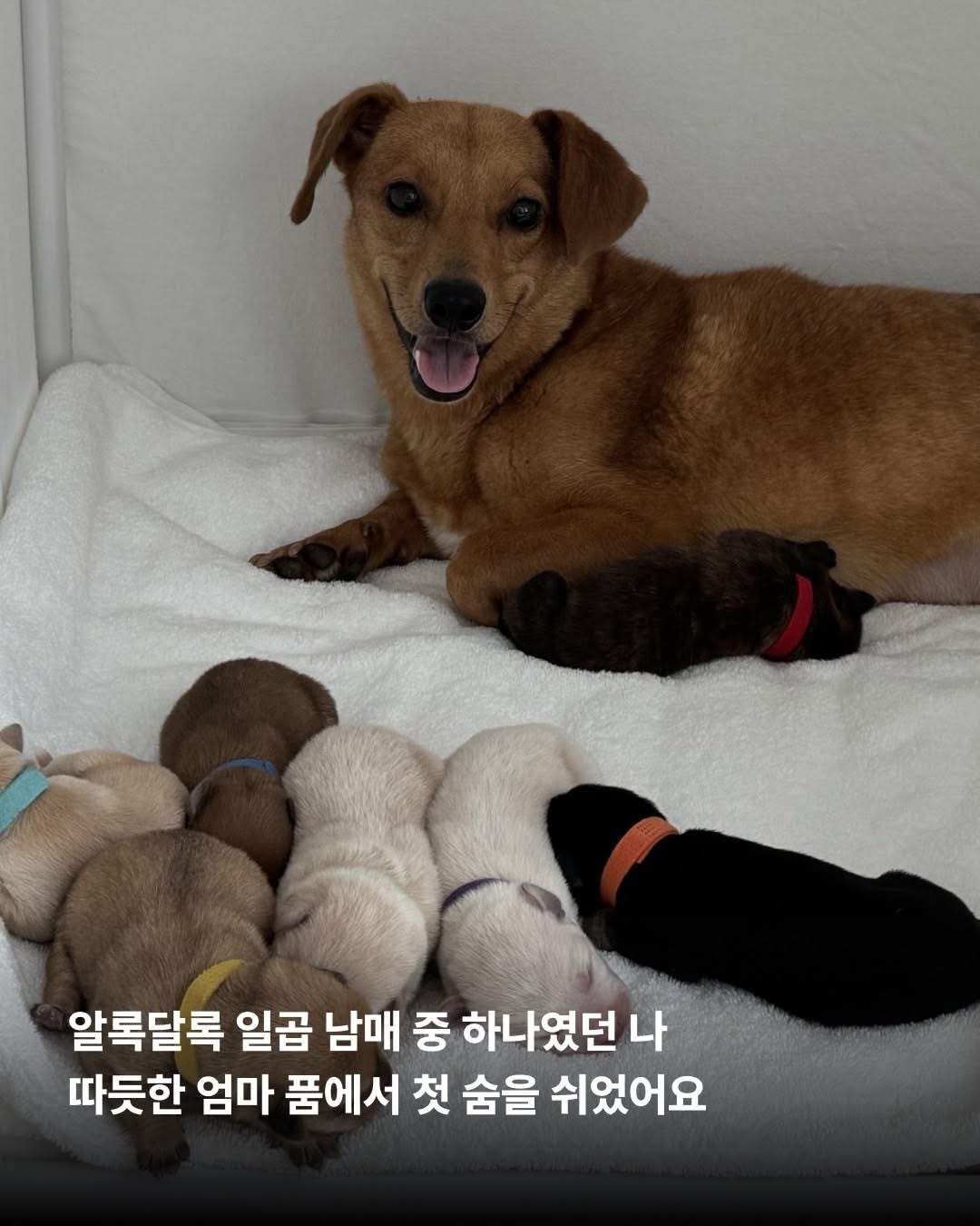 상세 사진 4