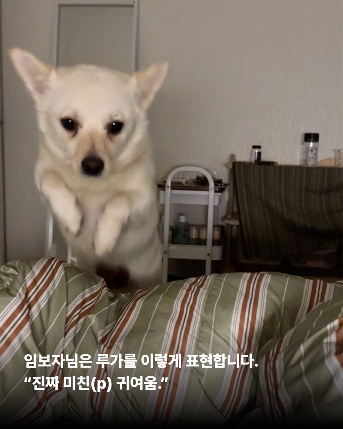 상세 사진 4