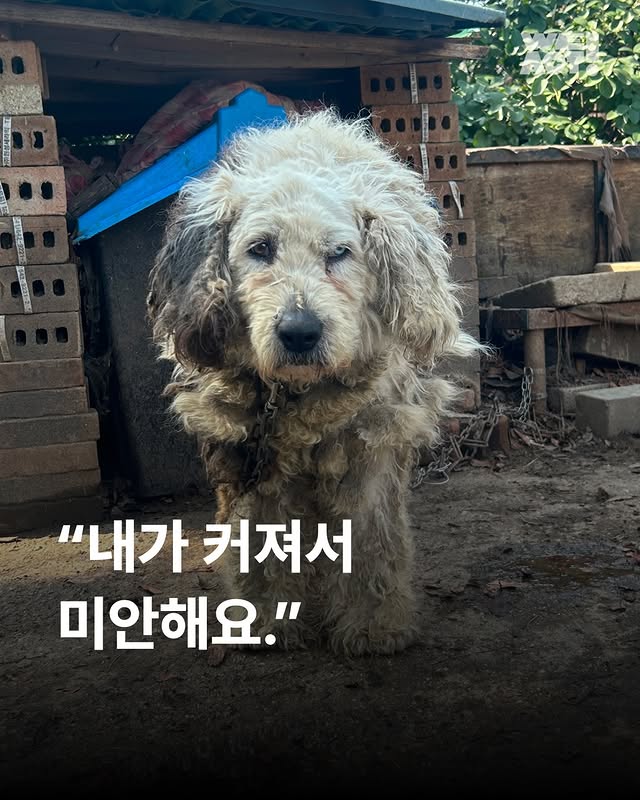 상세 사진 1
