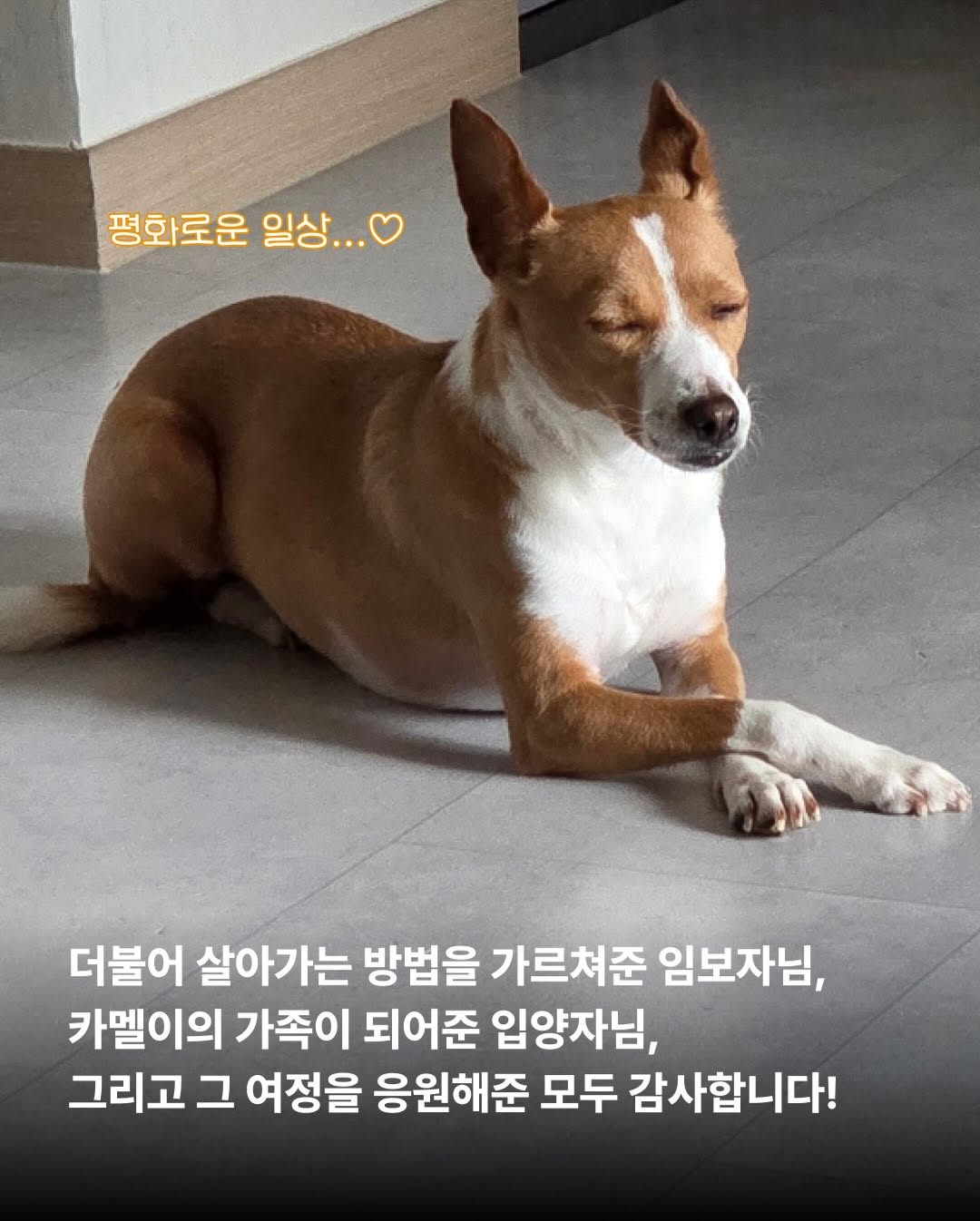 상세 사진 13