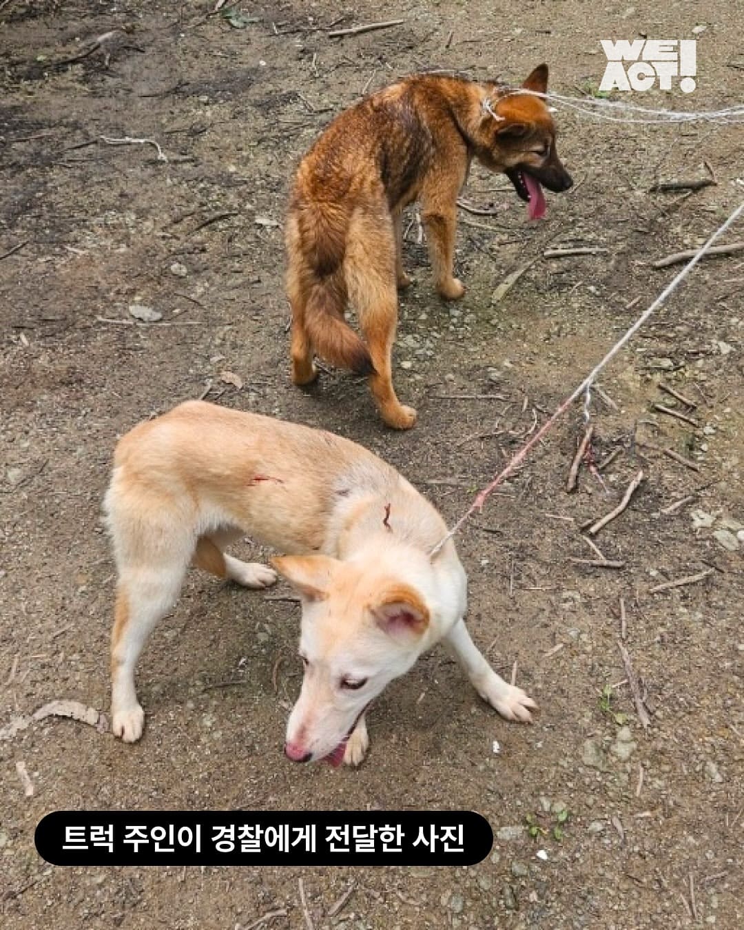 상세 사진 3