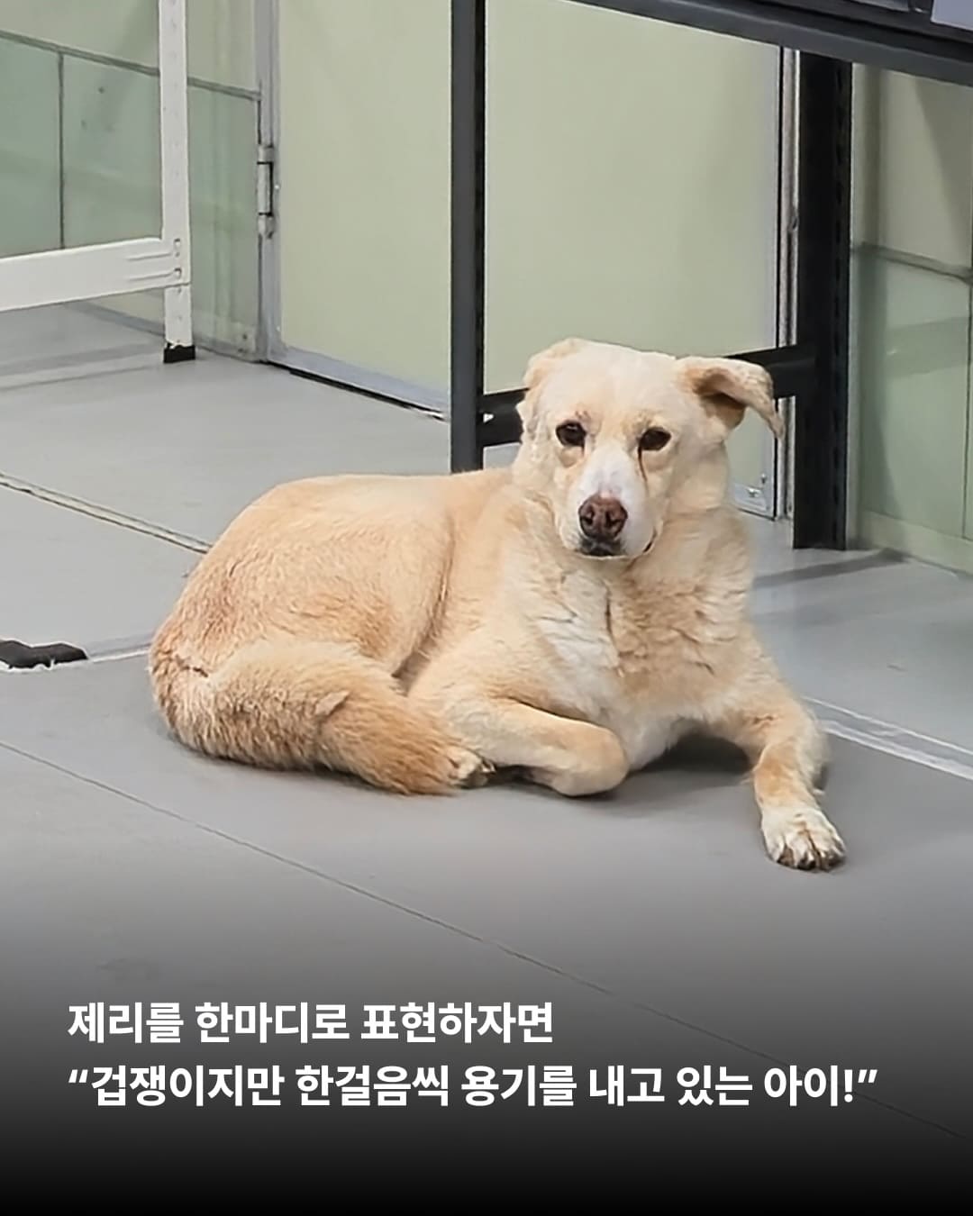 상세 사진 5