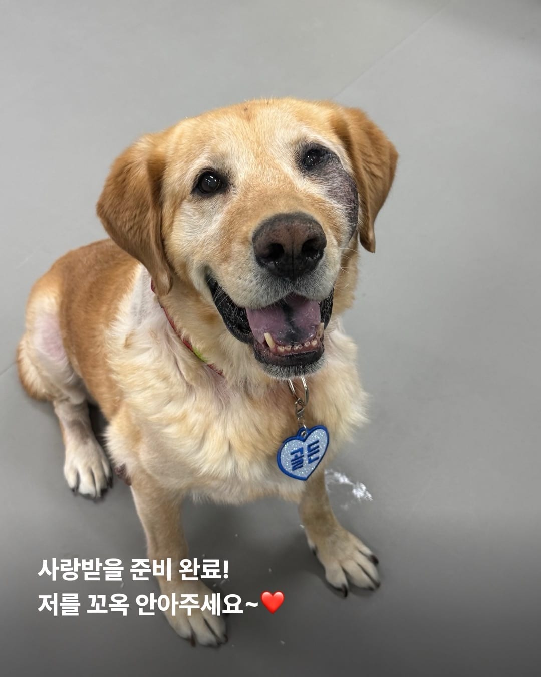 상세 사진 8