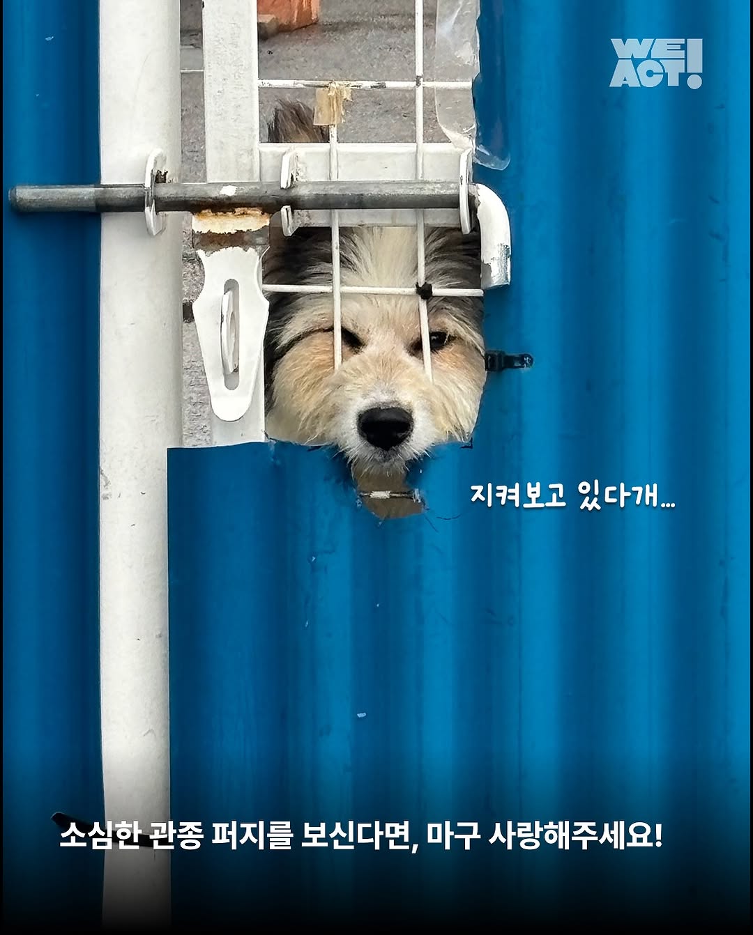 상세 사진 12