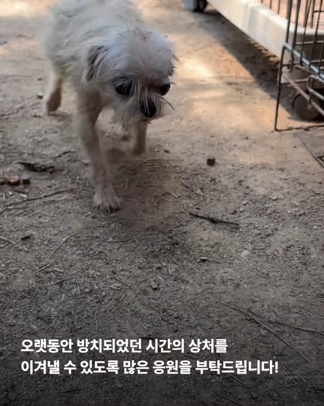 상세 사진 11