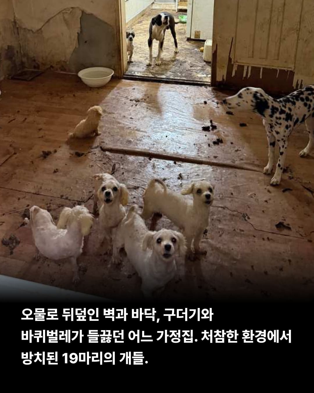 상세 사진 1