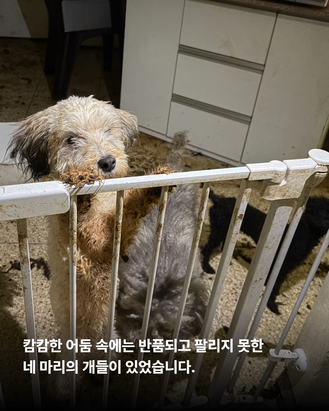 상세 사진 8