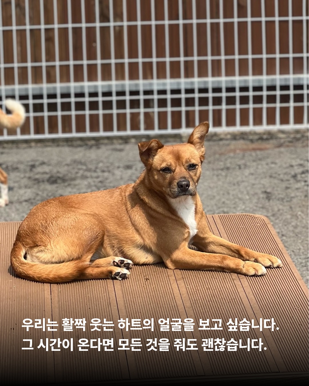 상세 사진 7