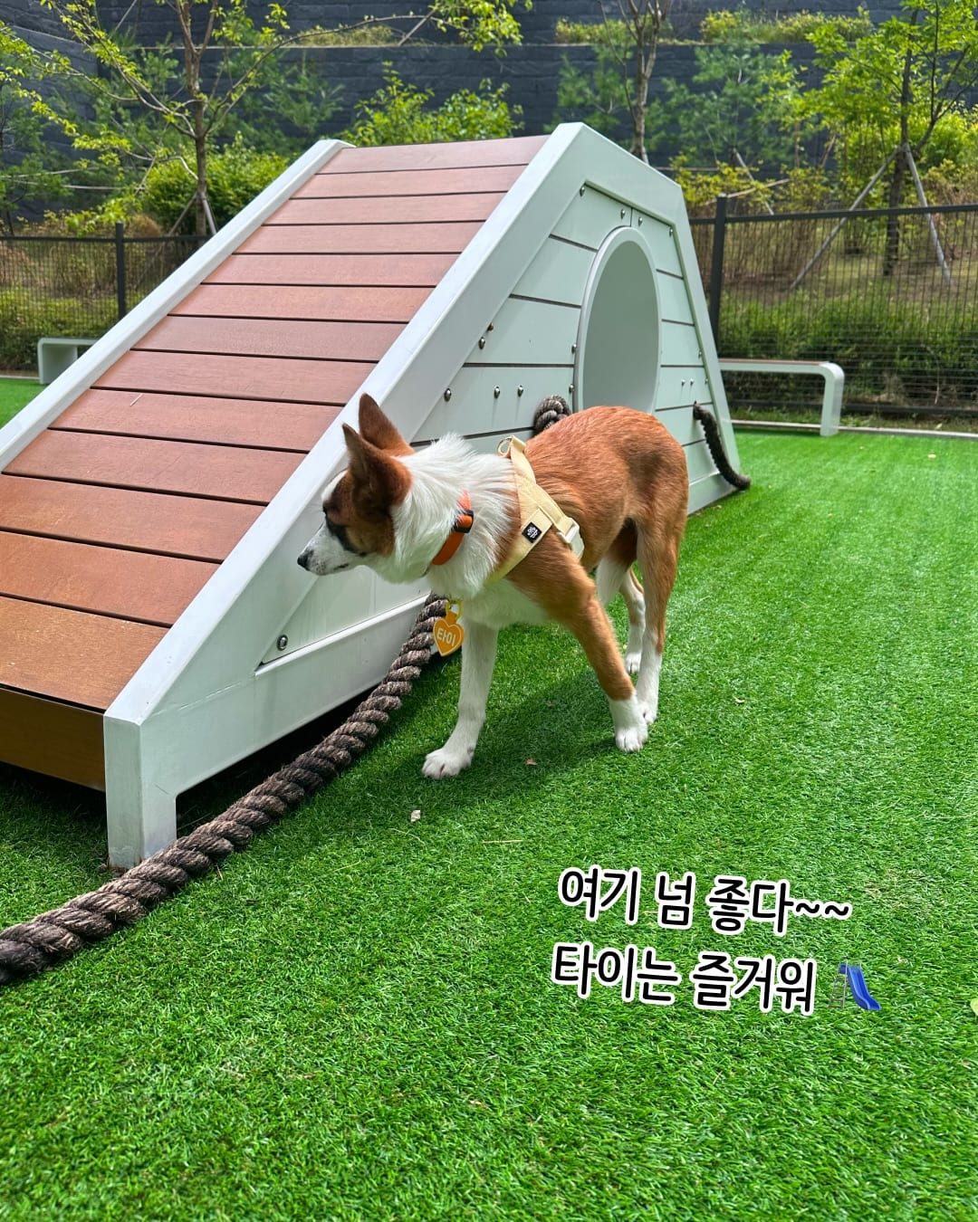 상세 사진 19
