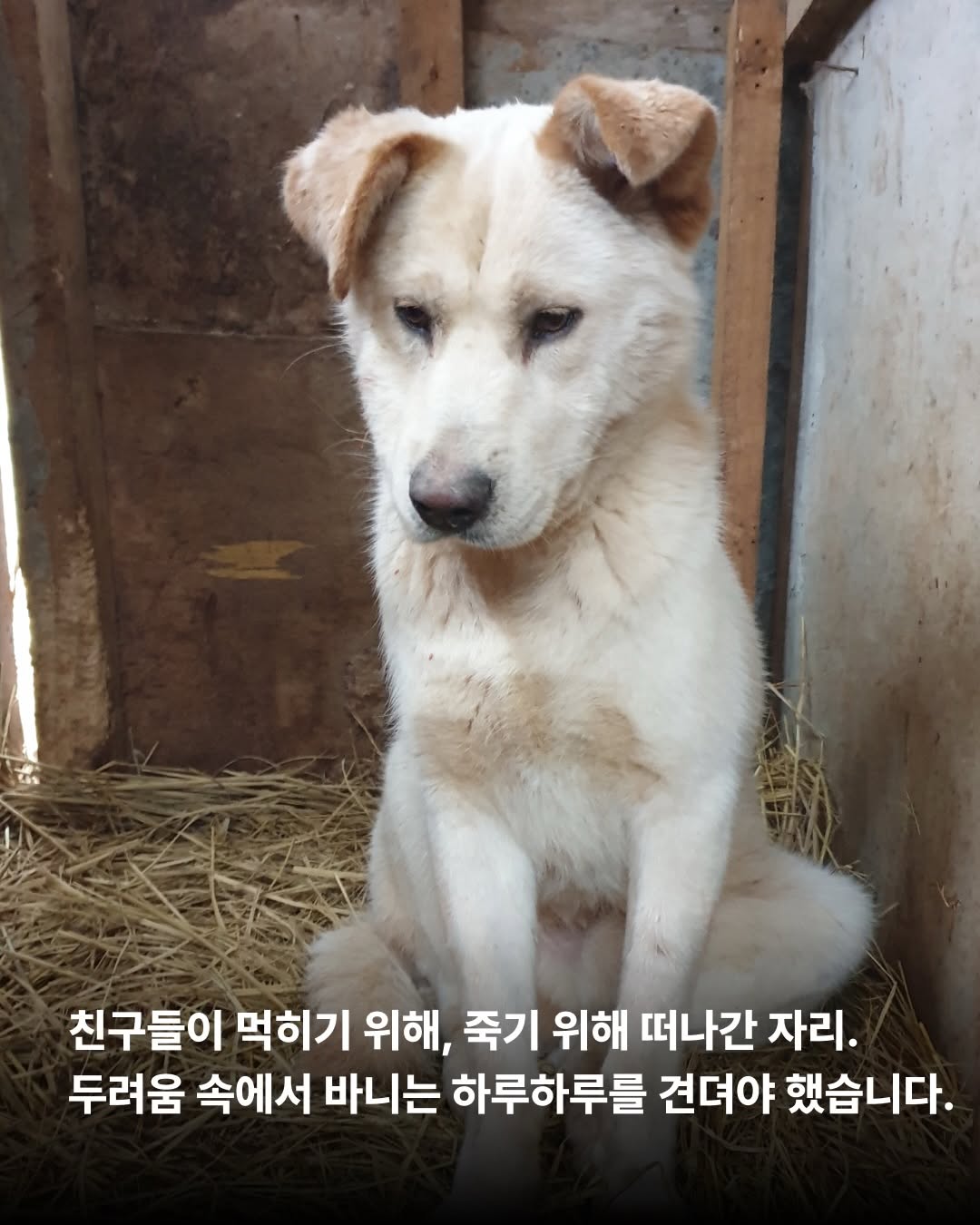 상세 사진 4