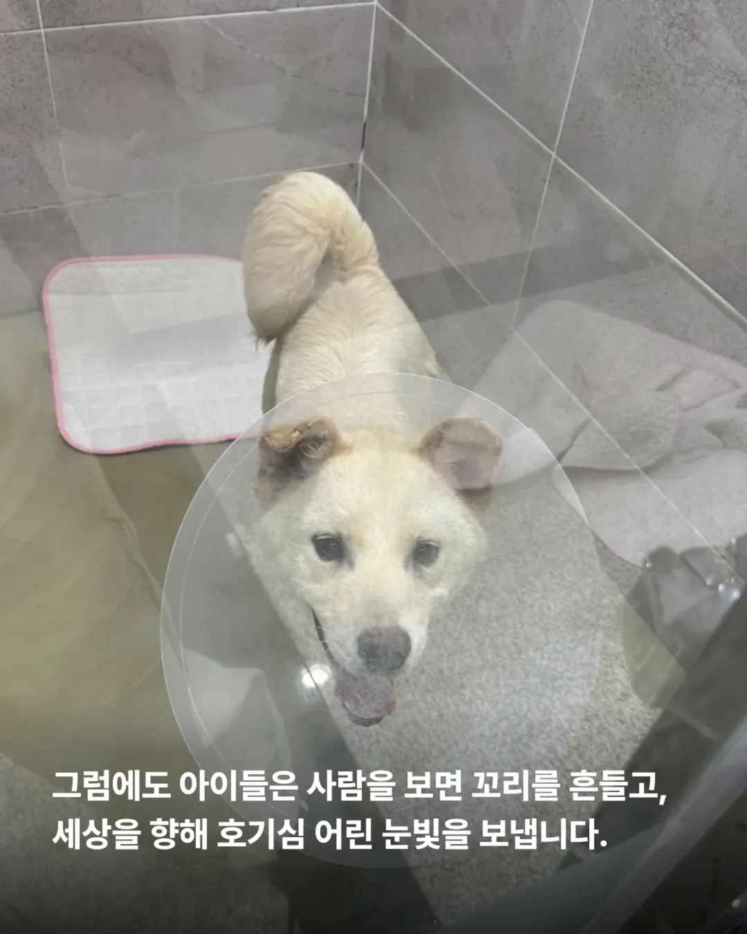 상세 사진 11